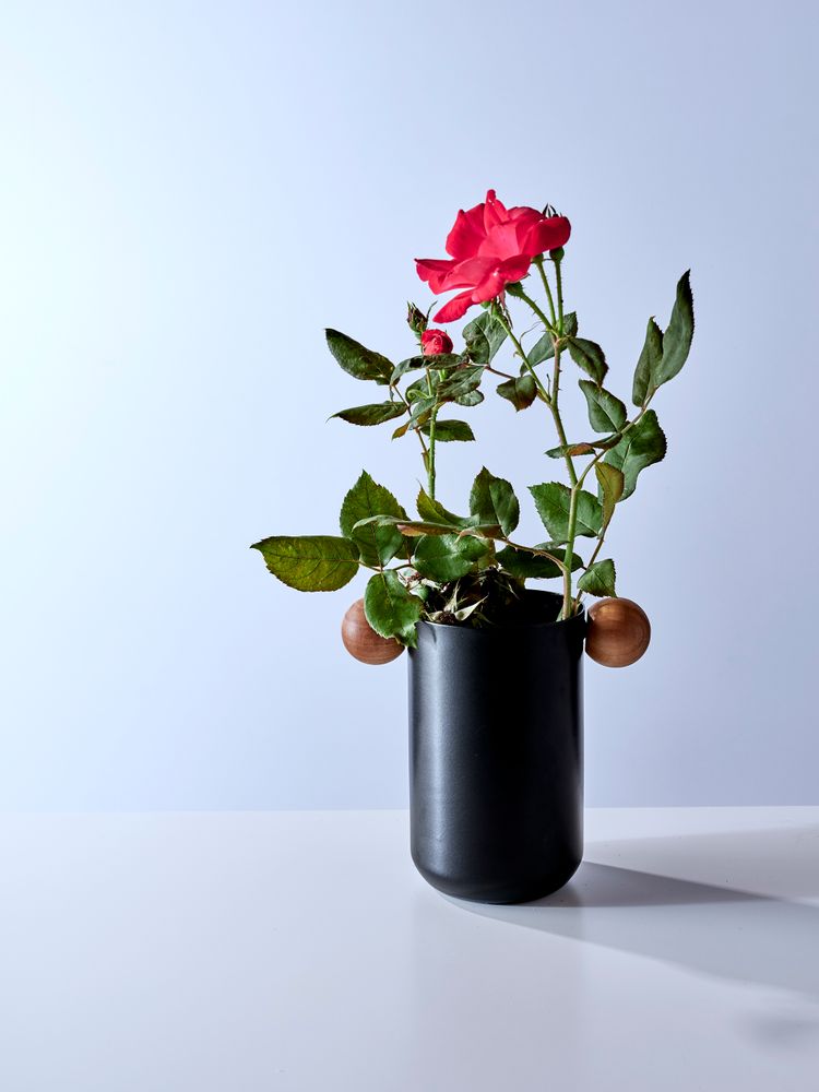Vases - Utensil and Plant Holder - Rondo Collection - NDT.DESIGN