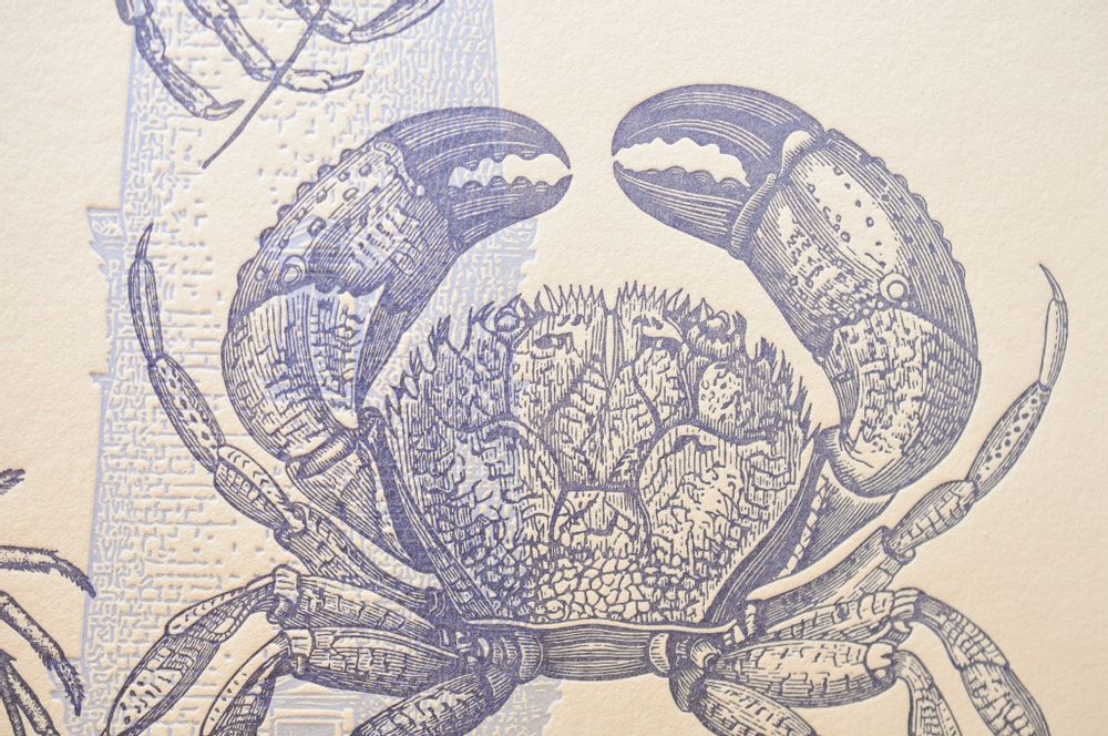 Poster - Art Print Crustaceans from the Breton coasts - L'ATELIER LETTERPRESS