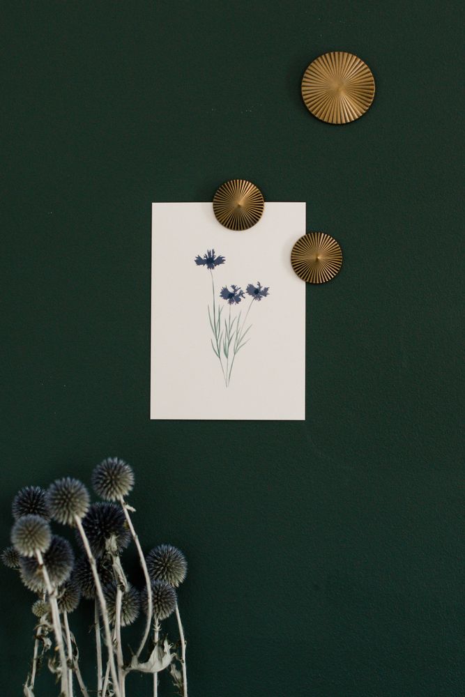 Decorative objects - Wall Decor - Half Circle Wall Jewel - POUSSIÈRE DES RUES