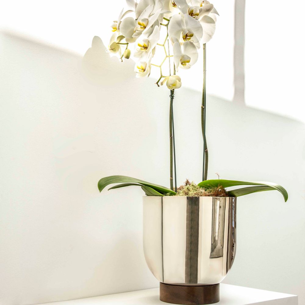Vases - Eclipse Vase/ champagne cooler - ST. JAMES