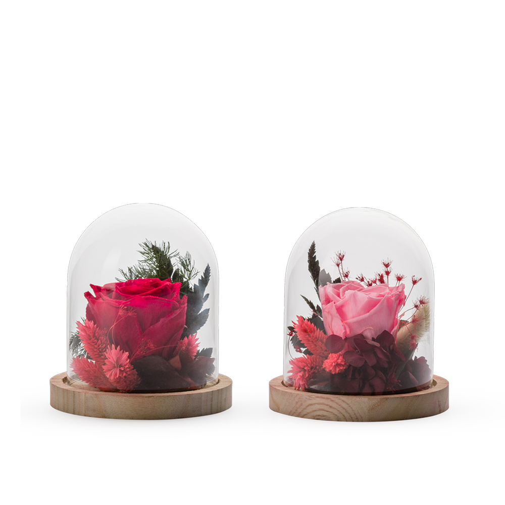 Floral decoration - STABILIZED VERRINES COLLECTION - NATURALYS