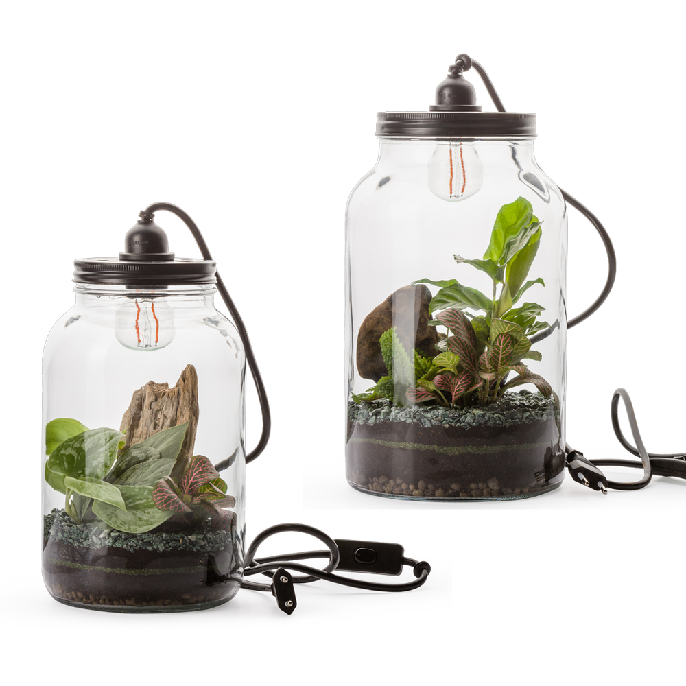 Objets de décoration - COLLECTION TERRARIUM - NATURALYS