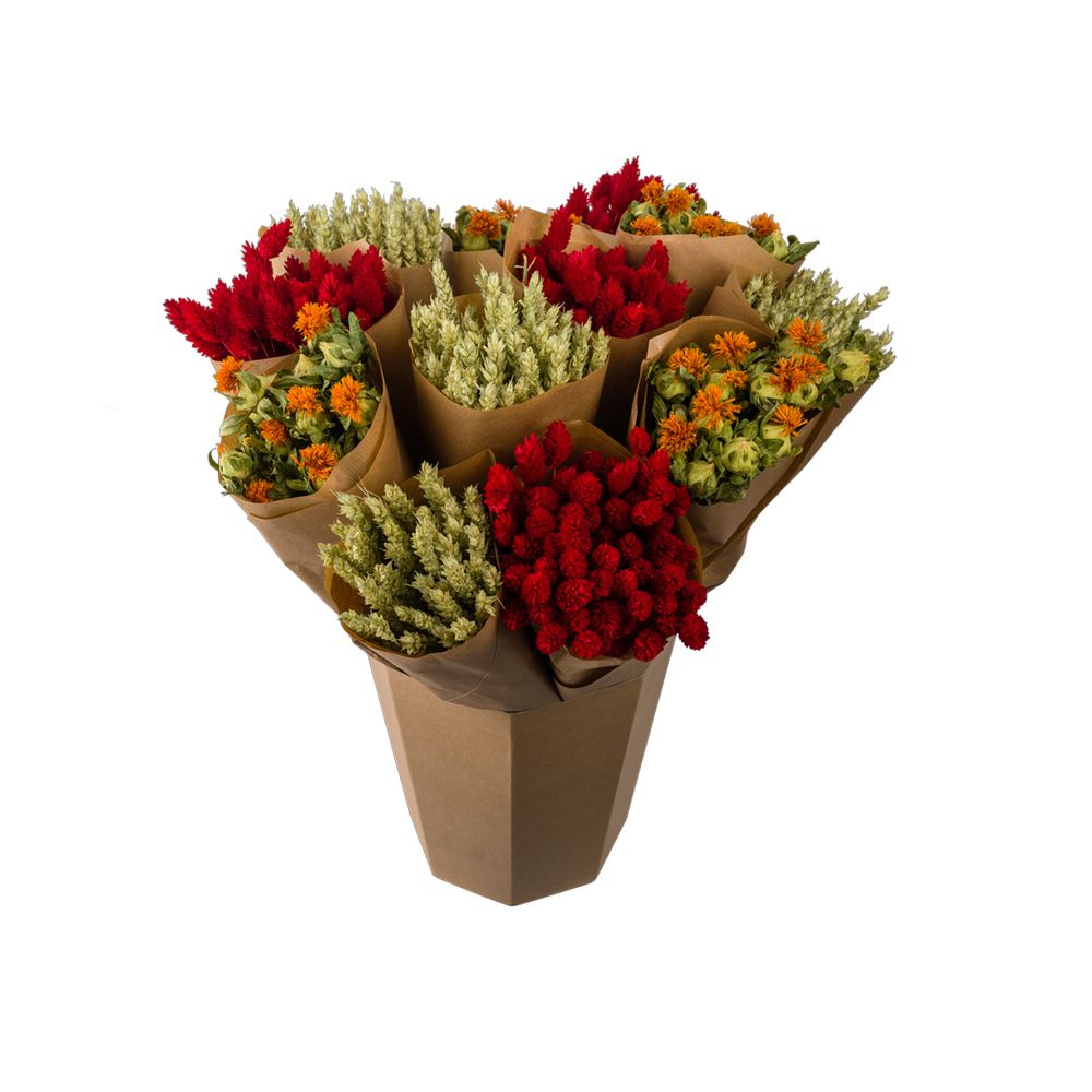 Decorative objects - MUR VEGETAL - NATURALYS
