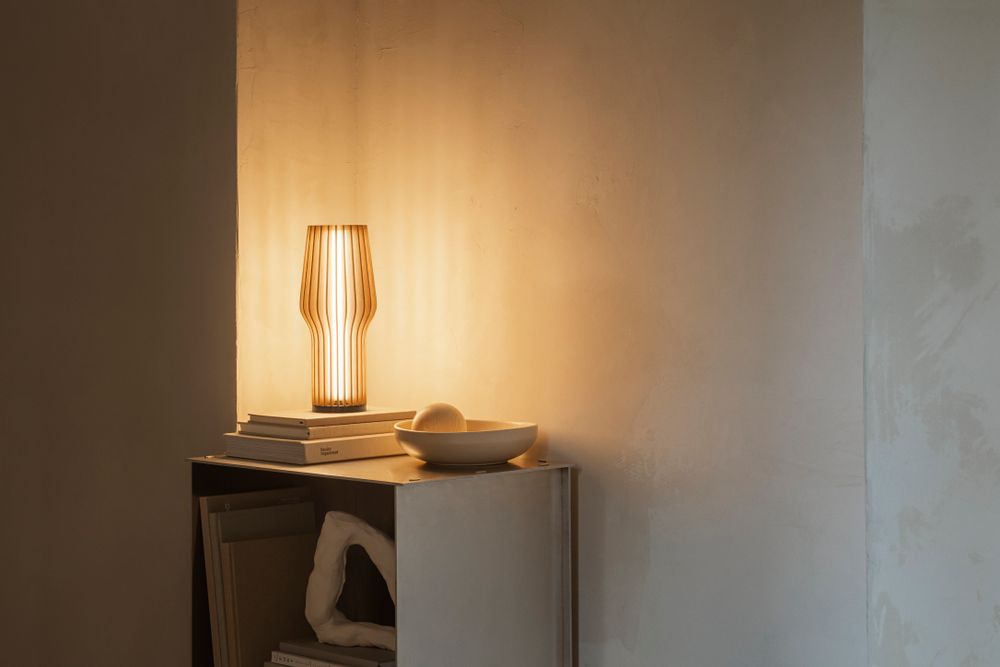 Decorative objects - Radiant LED lamp - EVA SOLO