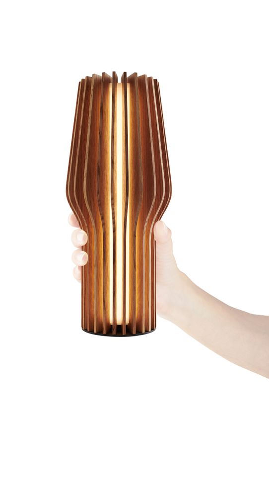 Decorative objects - Radiant LED lamp - EVA SOLO