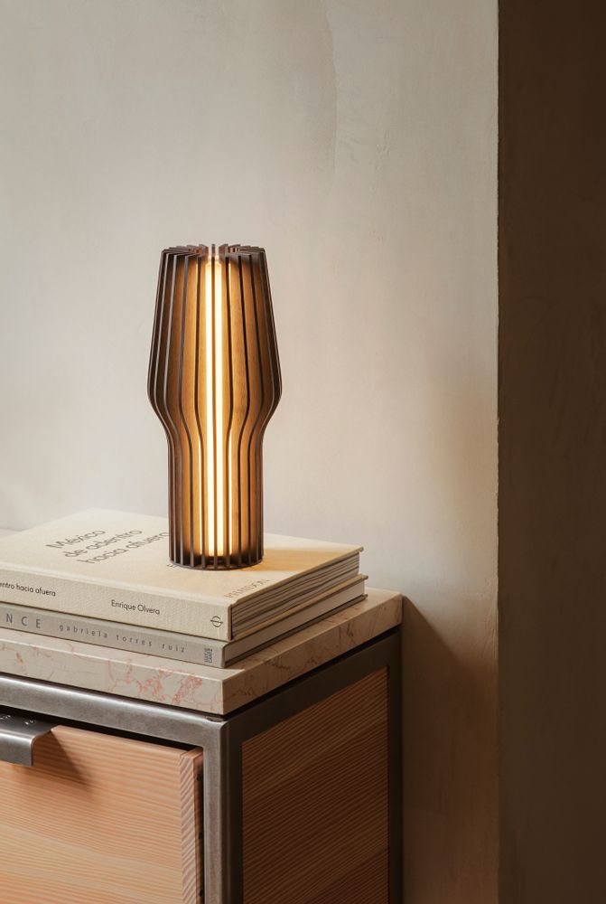 Decorative objects - Radiant LED lamp - EVA SOLO