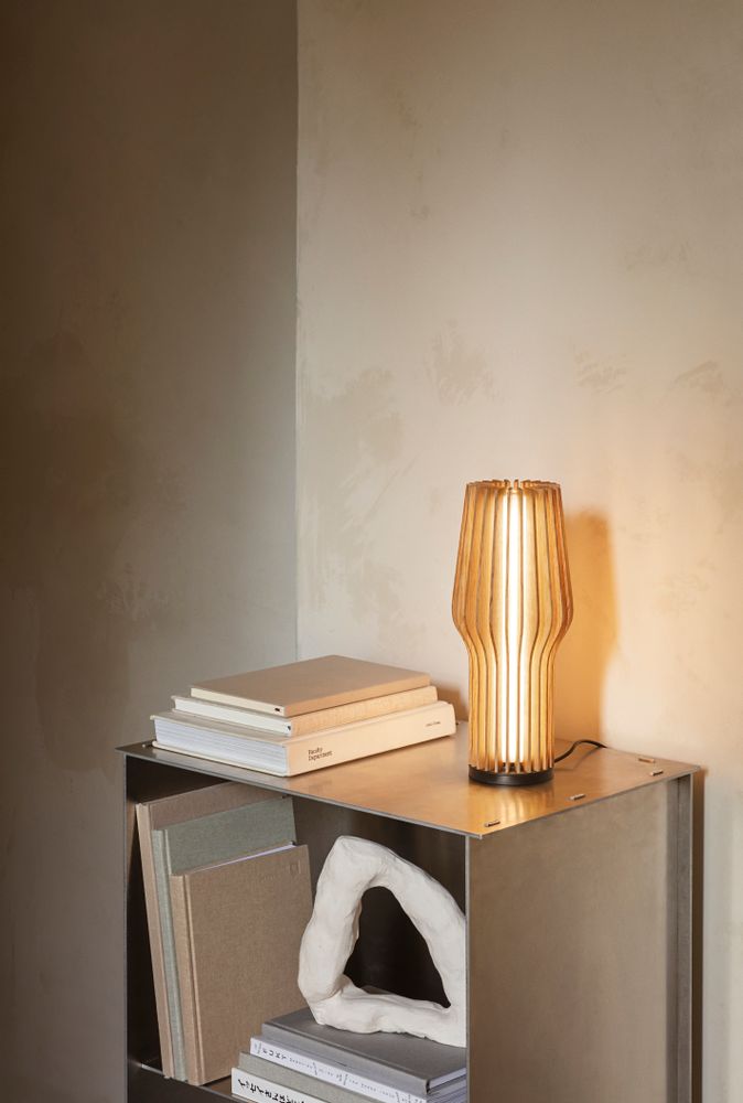 Decorative objects - Radiant LED lamp - EVA SOLO