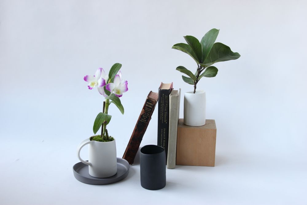 Mugs - Ripple Mug - 3,CO