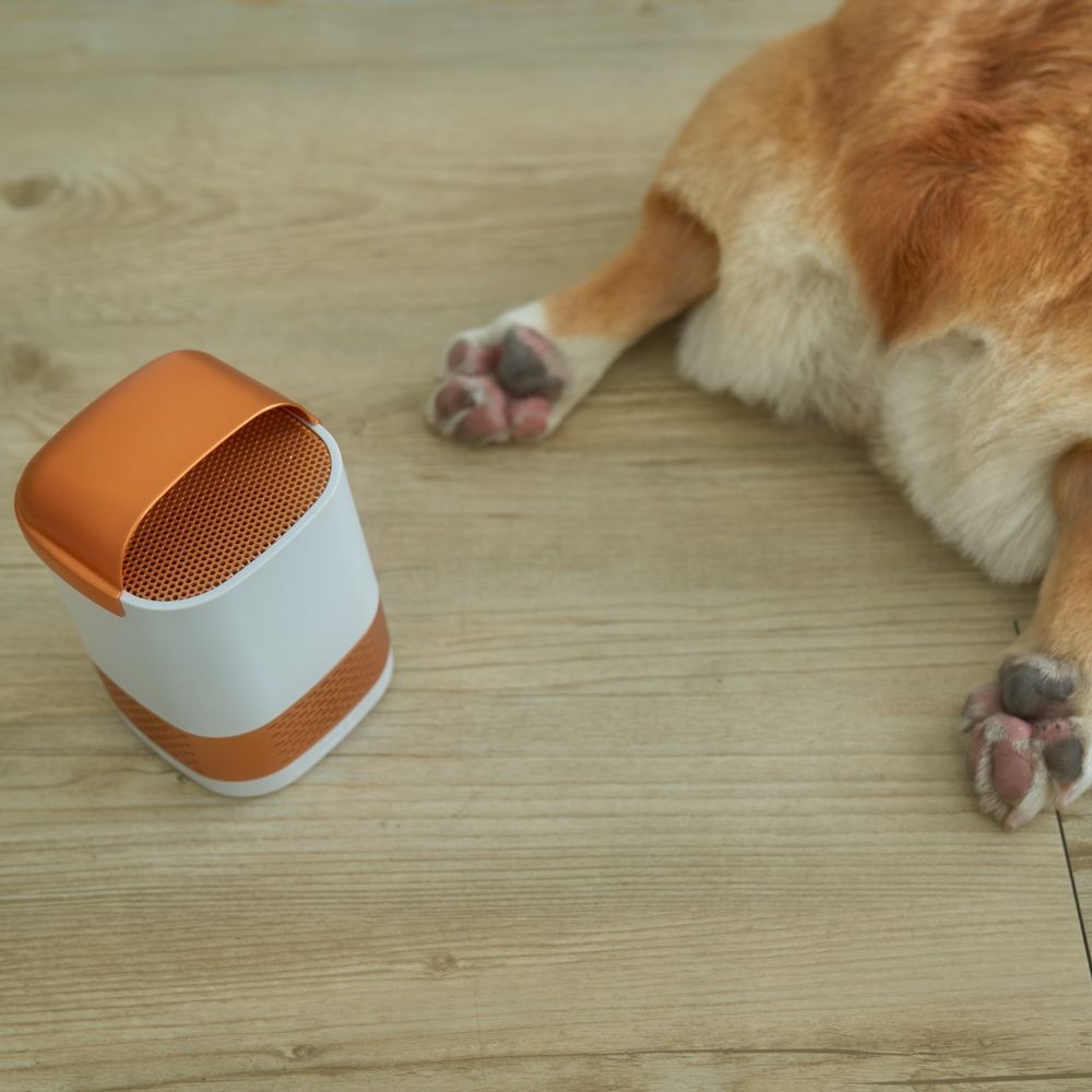 Office design and planning - LUFT Duo - Portable, Filterless Air Purifier - LUFTQI (RICE EAR LTD.)