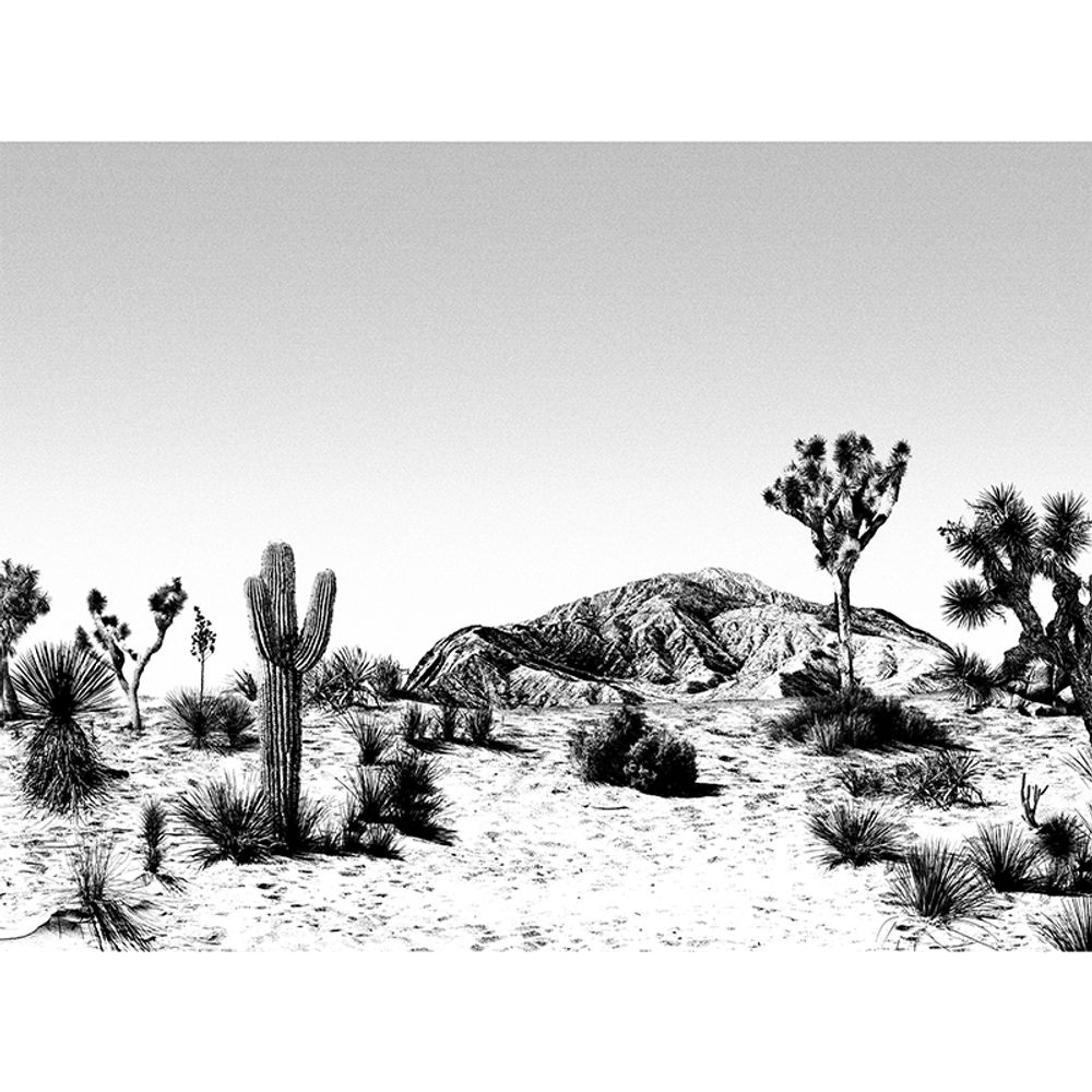 Tapisseries - Papier peint Arizona - EDITO