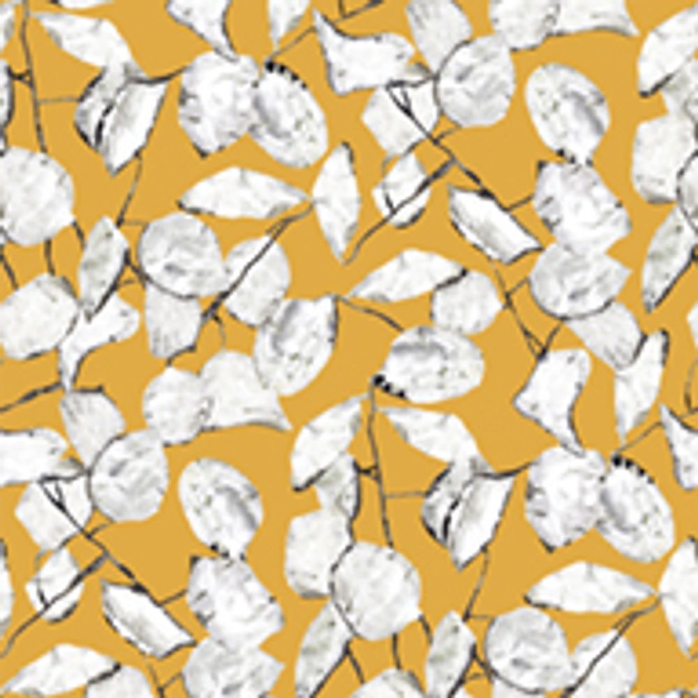 Wallpaper - Wallpaper Lunaria Annua - EDITO