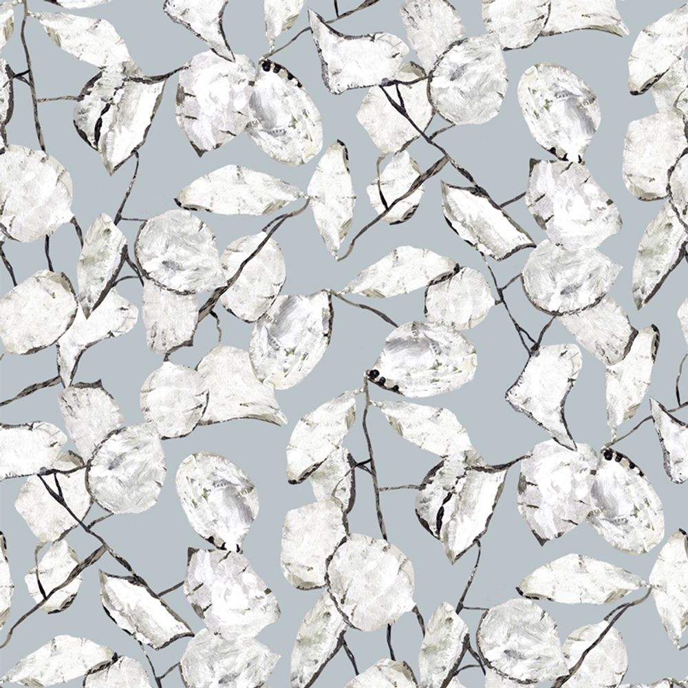 Wallpaper - Wallpaper Lunaria Annua - EDITO