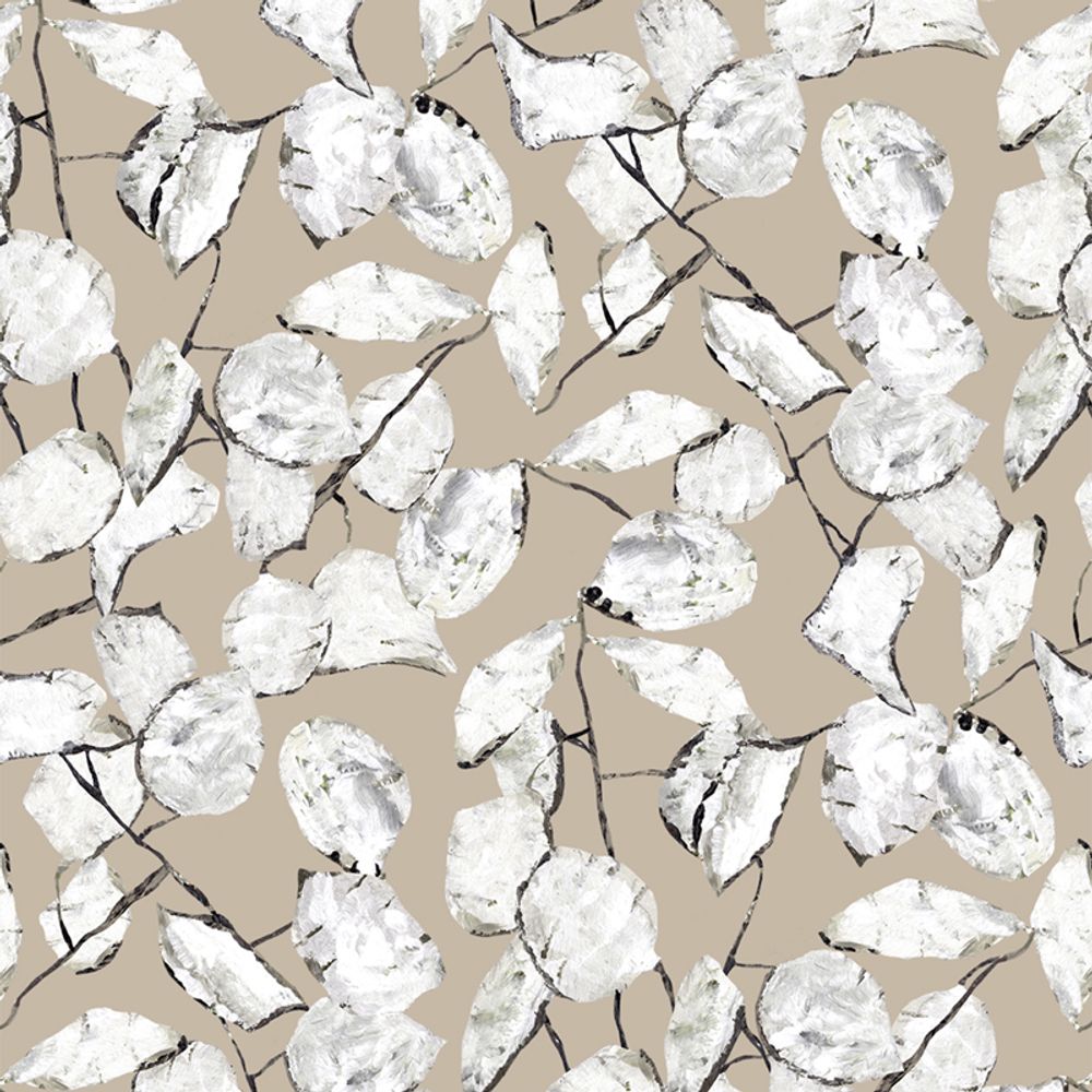 Wallpaper - Wallpaper Lunaria Annua - EDITO