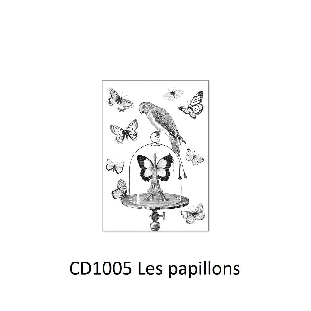 Loisirs créatifs pour enfant - Cartes doubles à colorier - ALIBABETTE EDITIONS