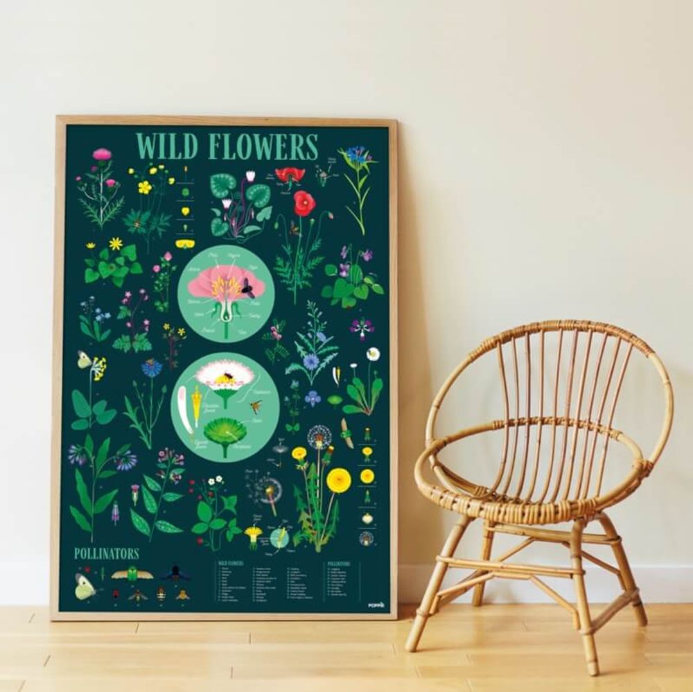 Affiches - Poster éducatif + 72 stickers LA BOTANIQUE - POPPIK - BAYARD JEUNESSE