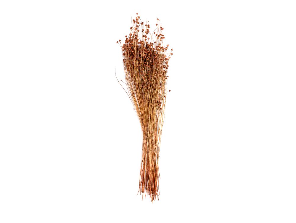 Floral decoration - Natural Dried Flower Orange Lino 100 gr, 70 cm AX71136 - ANDREA HOUSE