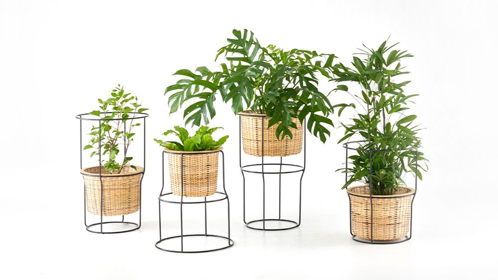 Objets design - Not available - THINGG