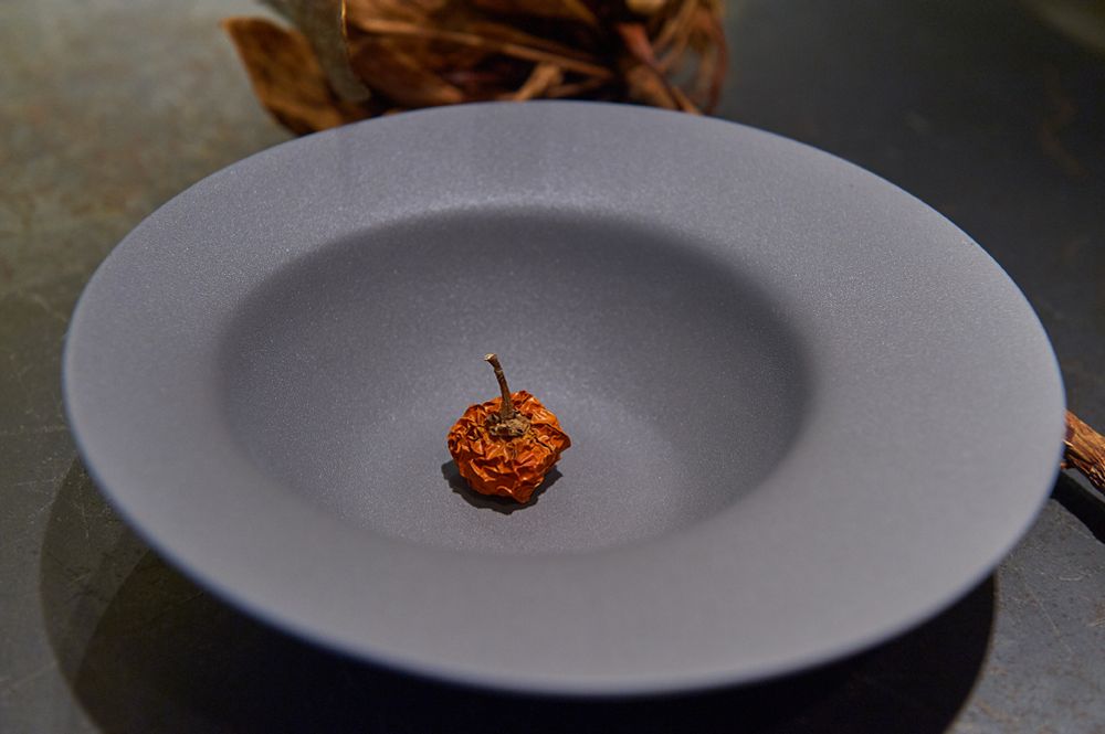 Bols - La Mer Soup Bowl  (Small & Large) - 3,CO