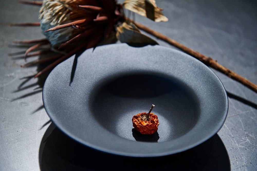 Bols - La Mer Soup Bowl  (Small & Large) - 3,CO