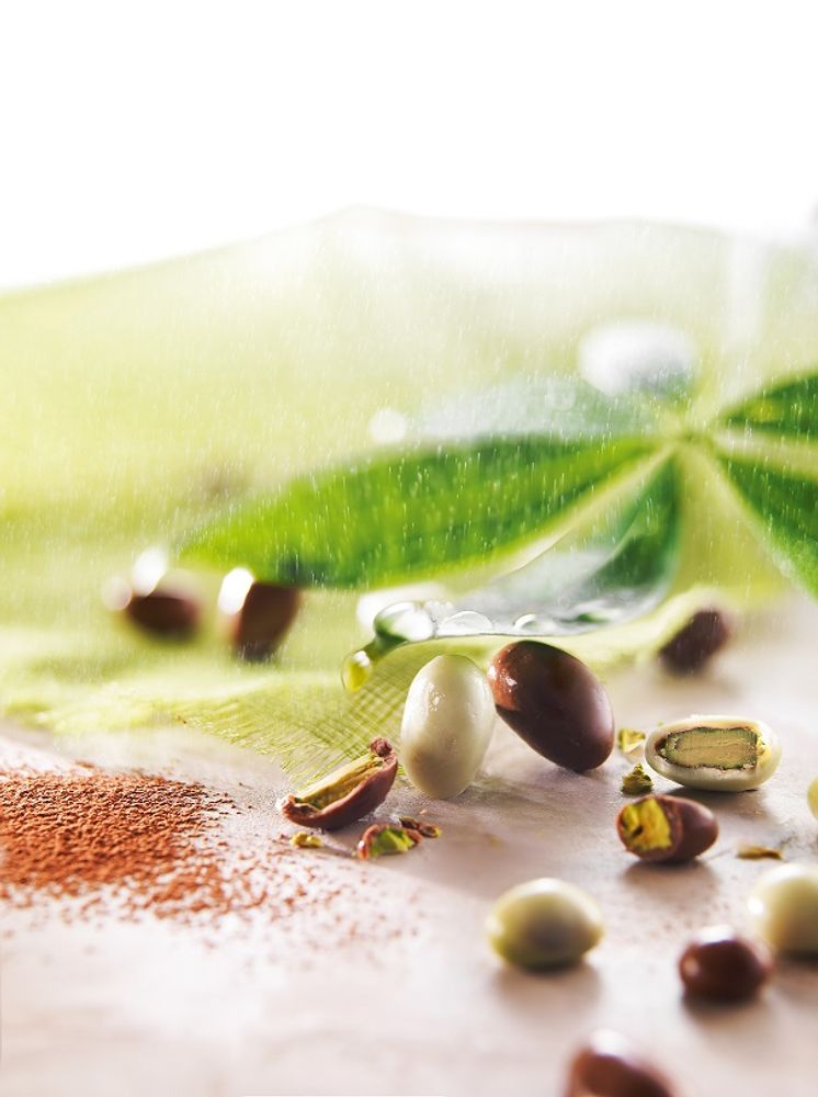 Chocolat - Pistaches aux 2 chocolats - FRANCOIS DOUCET CONFISEUR