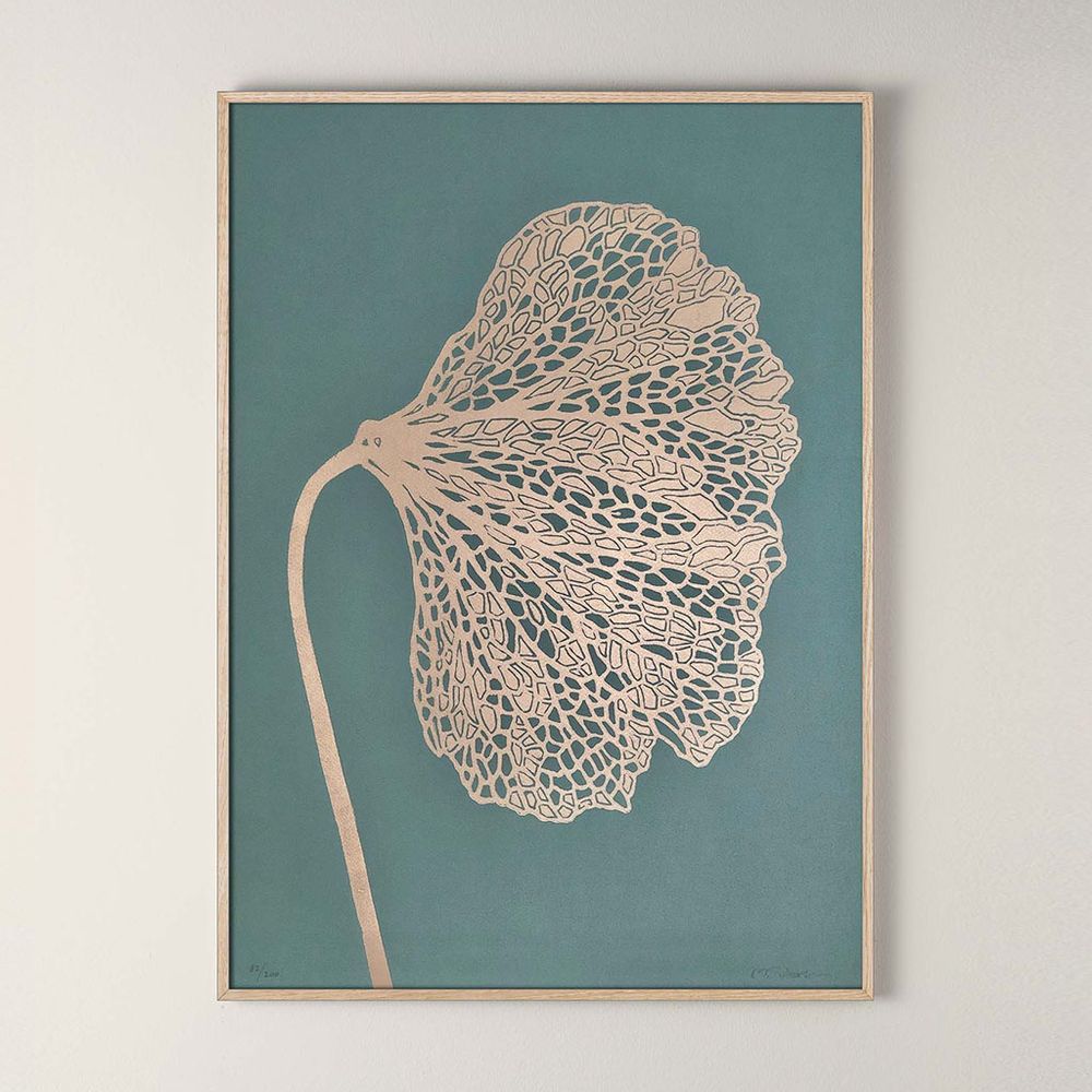 Poster - BOTANICAL LINO PRINTS - MONIKA PETERSEN ART PRINTS