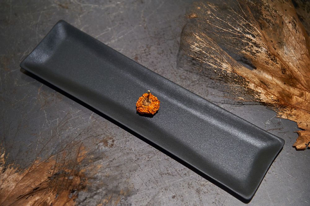 Assiettes au quotidien - Plat long La Mer (3 tailles) - 3,CO