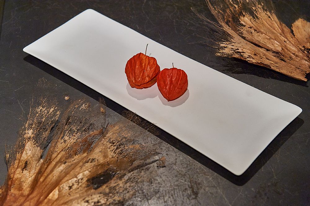 Assiettes au quotidien - Plat long La Mer (3 tailles) - 3,CO