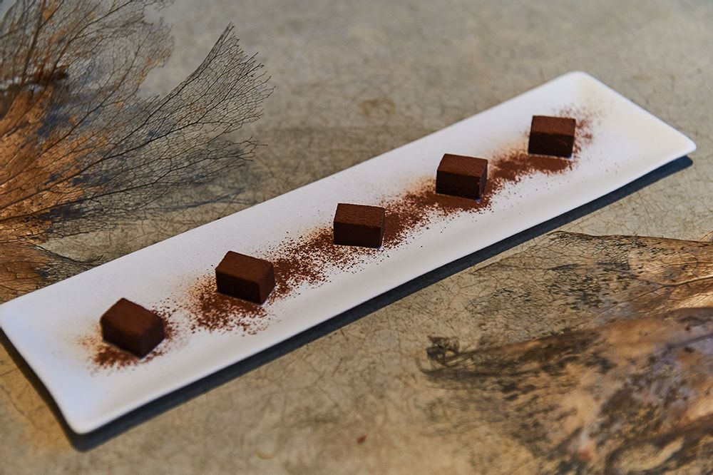 Assiettes au quotidien - Plat long La Mer (3 tailles) - 3,CO