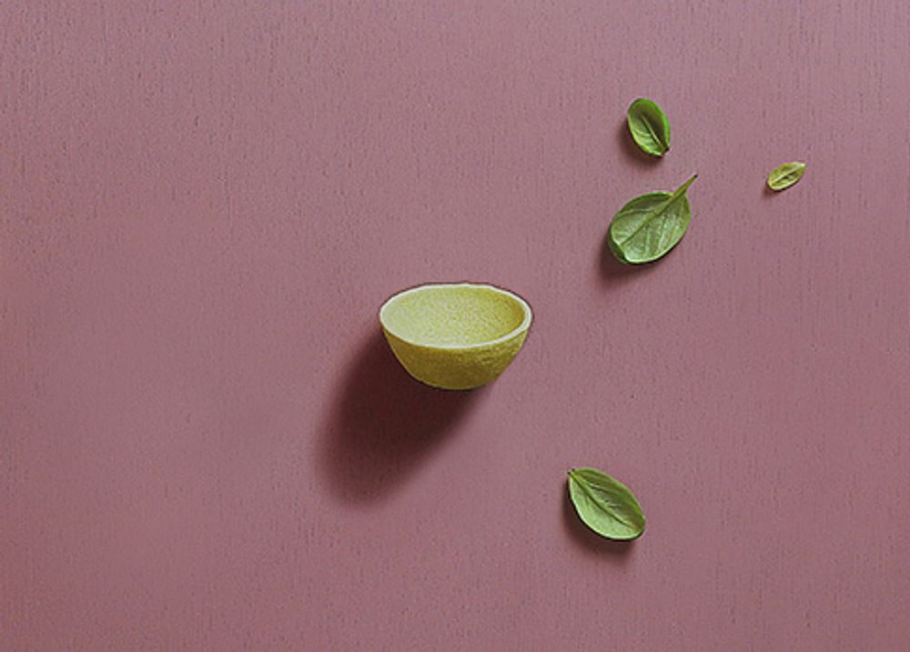 Épicerie fine - Coupelles rondes comestibles, compostables et biodégradables version légumes - SWITCH EAT