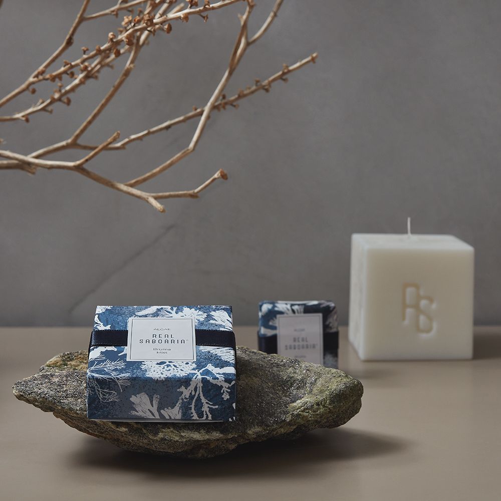 Candles - Algae Scented Candle - REAL SABOARIA
