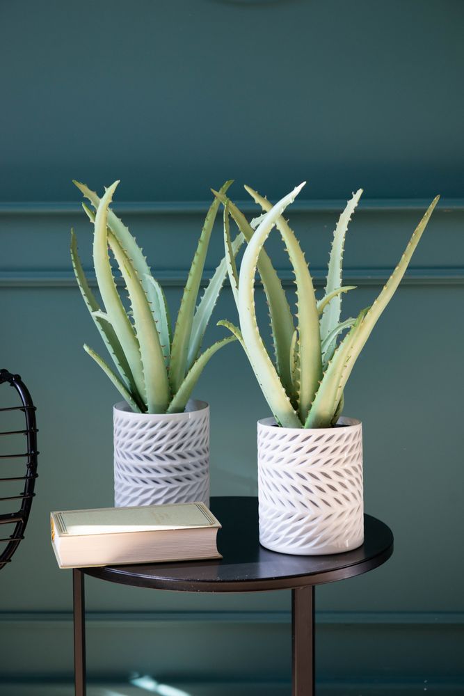 Floral decoration - Aloe - LOU DE CASTELLANE - artificial plants and flowers - LOU DE CASTELLANE