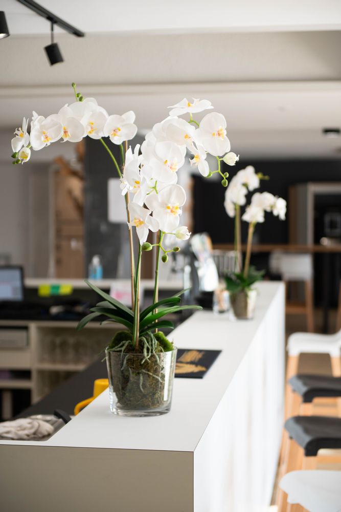 Floral decoration - Orchids - LOU DE CASTELLANE - artificial plants and flowers - LOU DE CASTELLANE