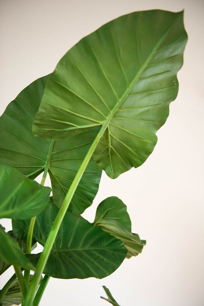 Floral decoration - Column and Alocasia - LOU DE CASTELLANE - artificial plants and flowers - LOU DE CASTELLANE
