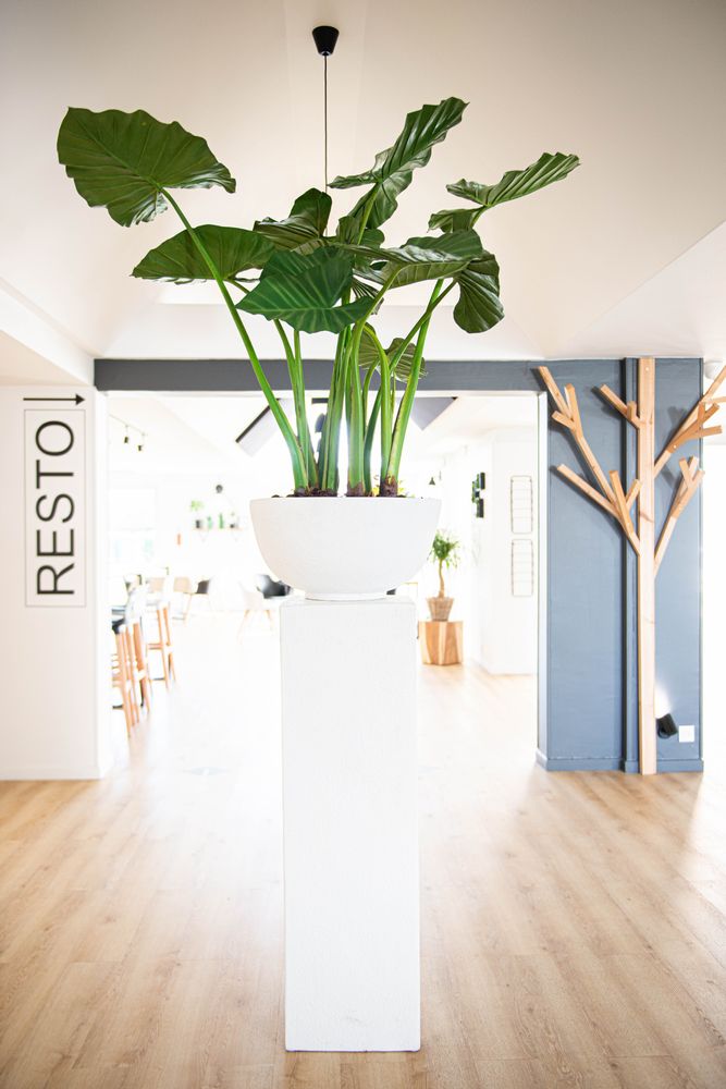 Floral decoration - Column and Alocasia - LOU DE CASTELLANE - artificial plants and flowers - LOU DE CASTELLANE