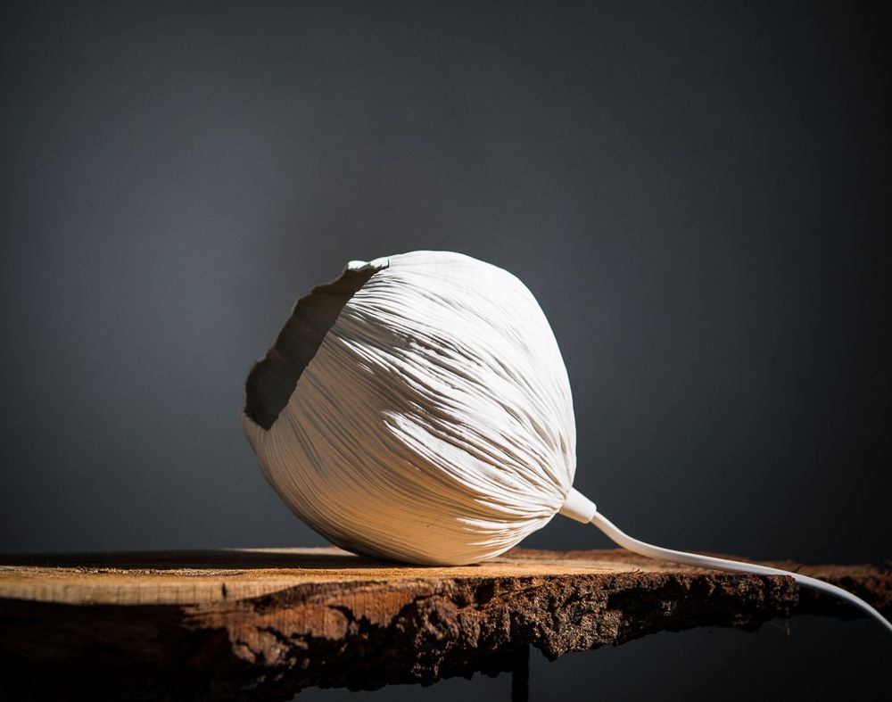 Céramique - Lampe à poser Luna et Chrysalis - ATELIER SUR LA RIVIERE - SYLVAIN FEZZOLI