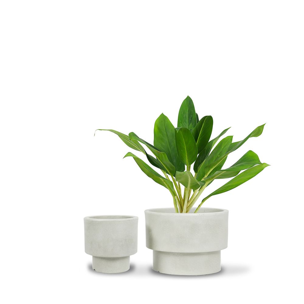 Vases - Vase Loft 18x18 cm - VASART