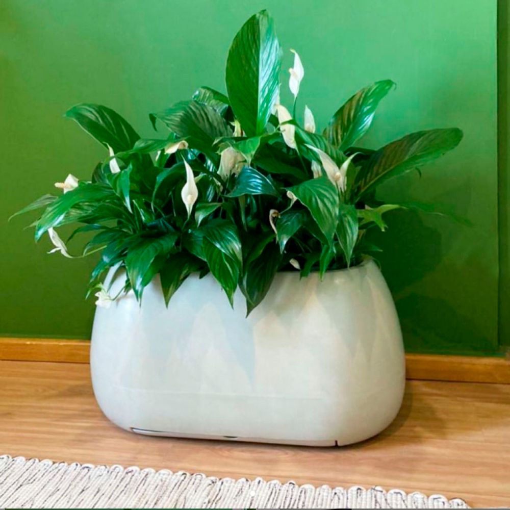 Vases - Vase Oca 57x36 cm - VASART