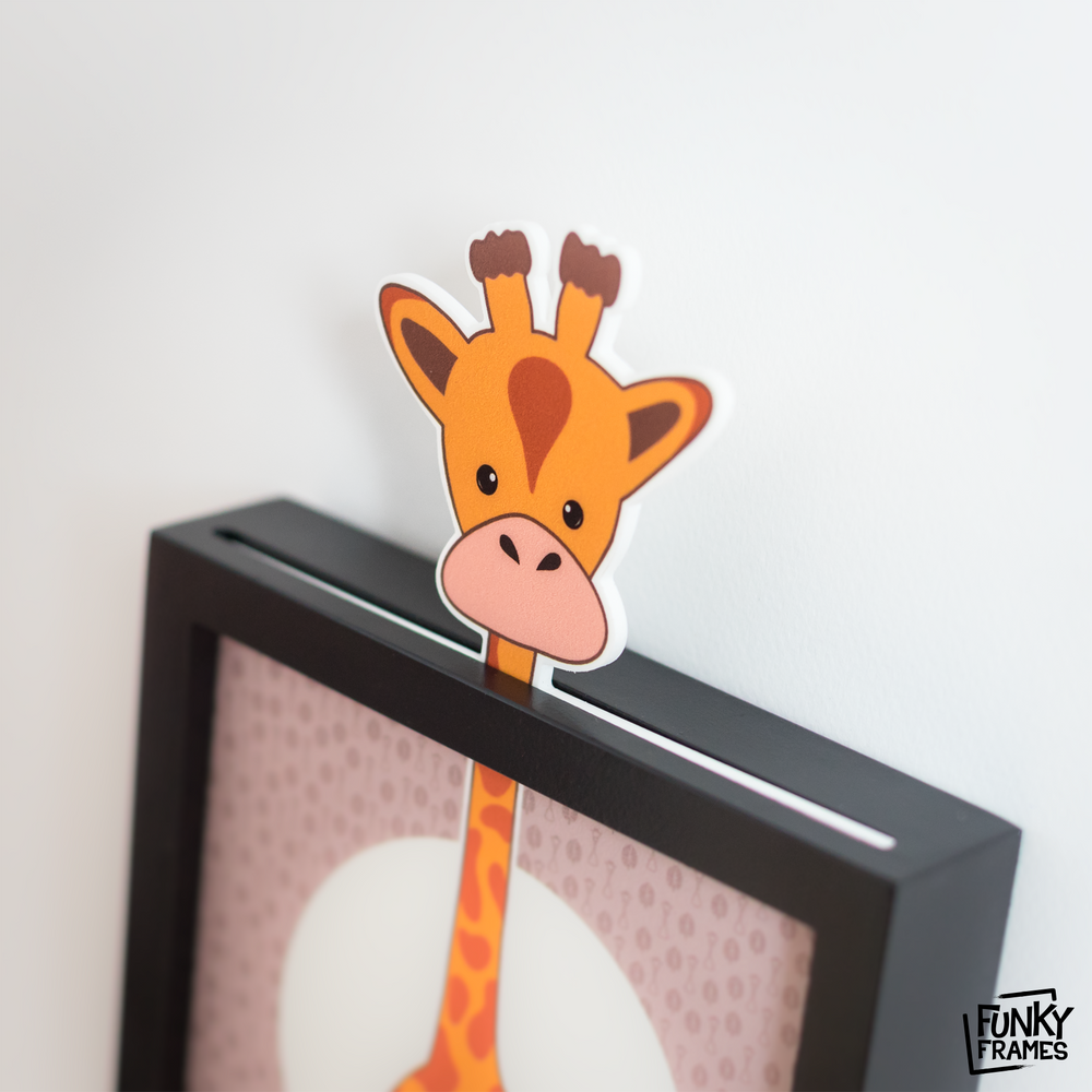 Design objects - Funky Frames - FUNKY FRAMES