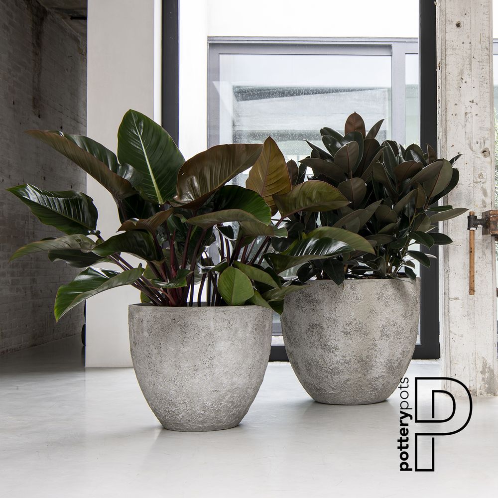 Pots de fleurs - Collection d'huîtres - POTTERY POTS