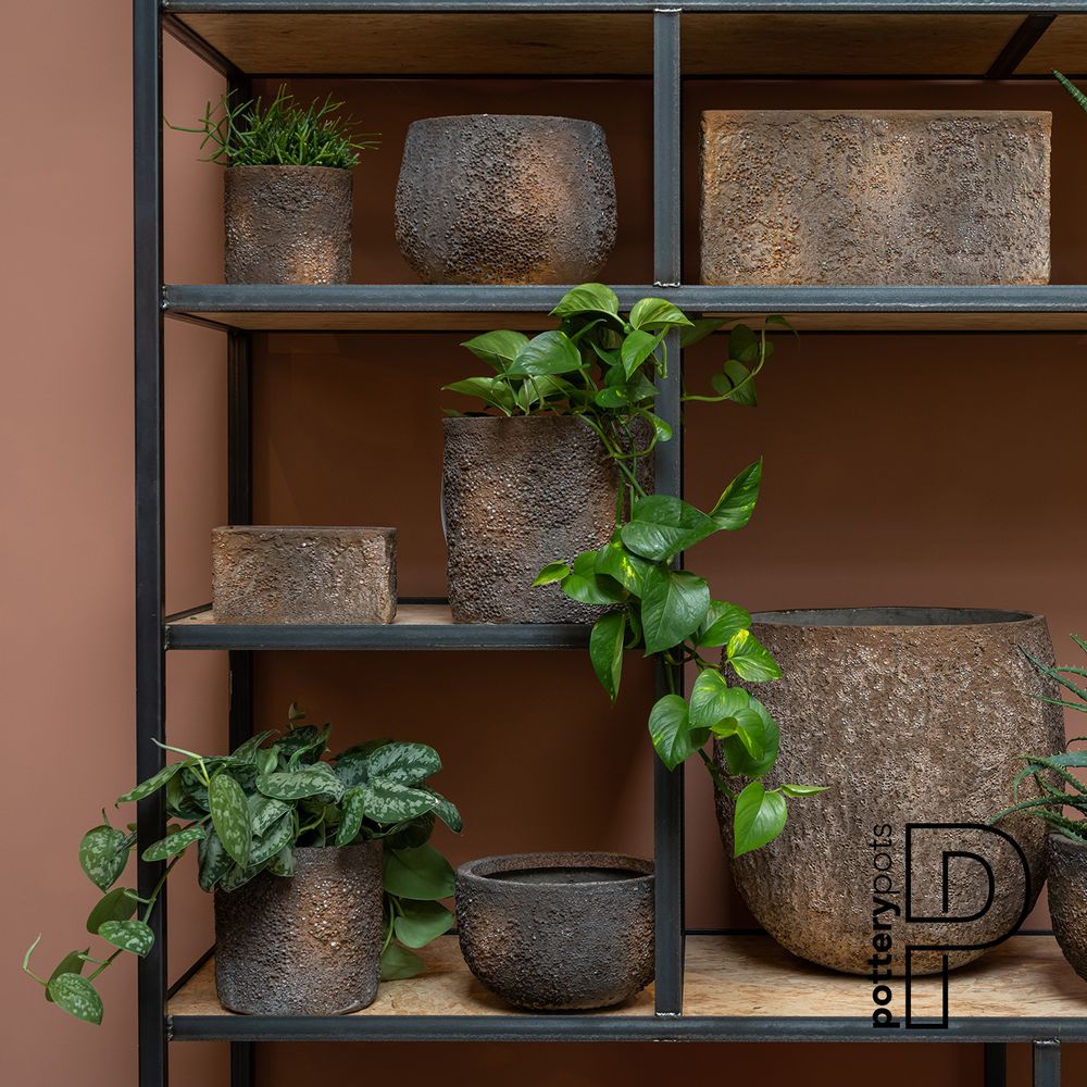 Pots de fleurs - Collection d'huîtres - POTTERY POTS