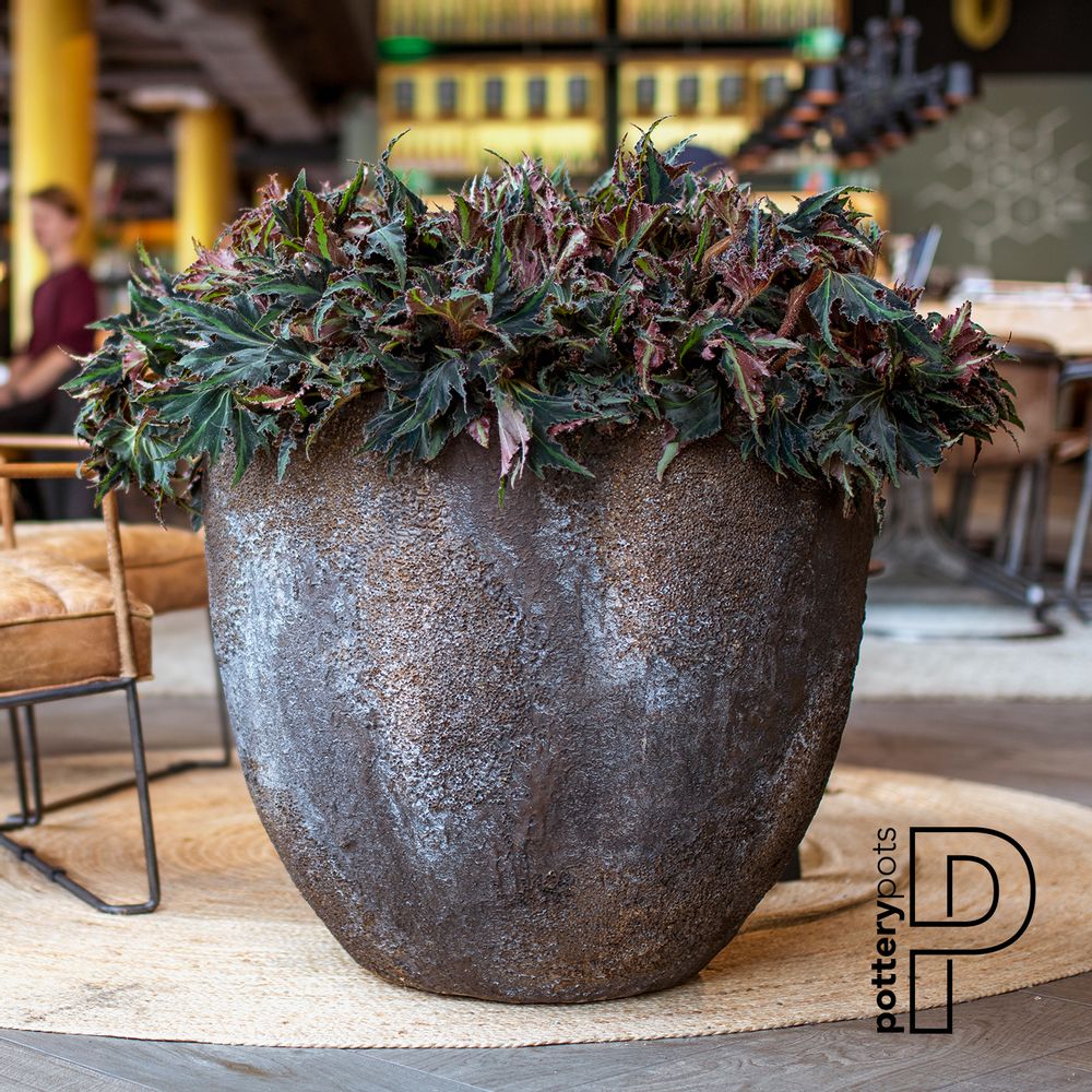 Pots de fleurs - Collection d'huîtres - POTTERY POTS