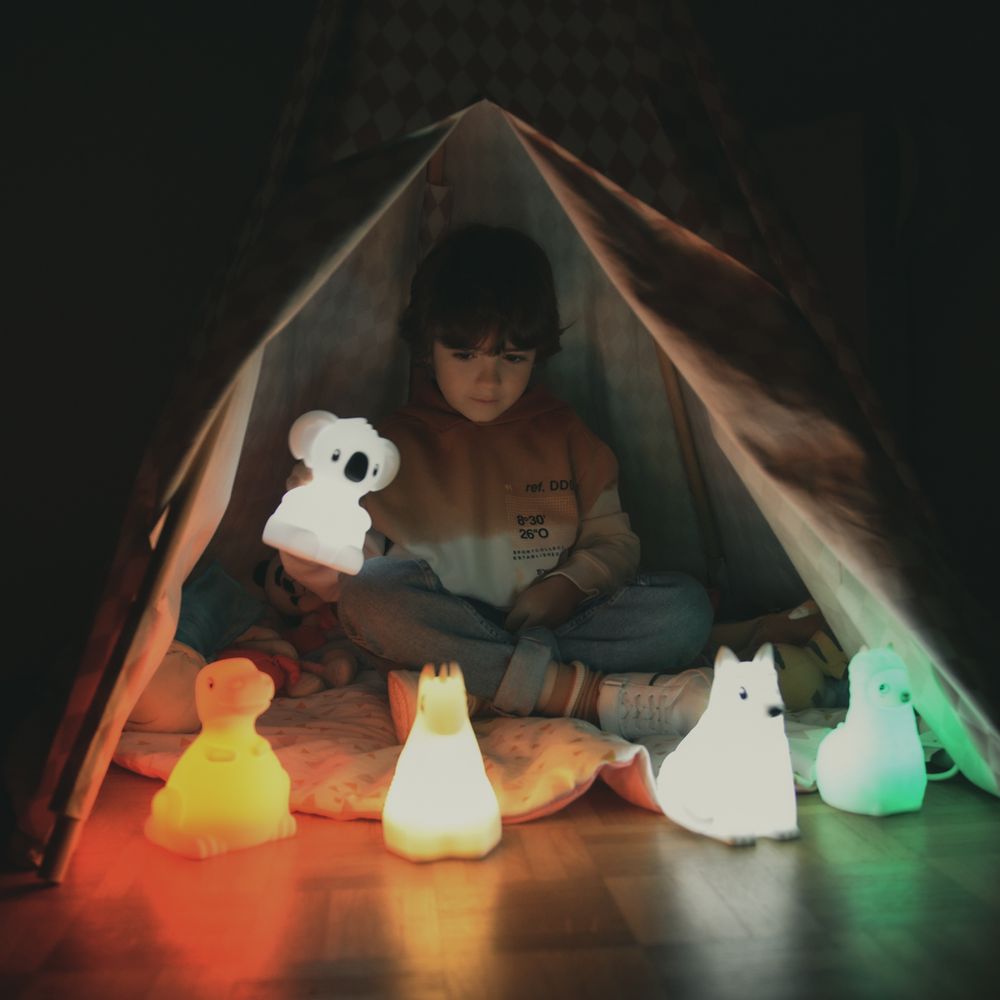 Table lamps - Led night light - KIDYWOLF