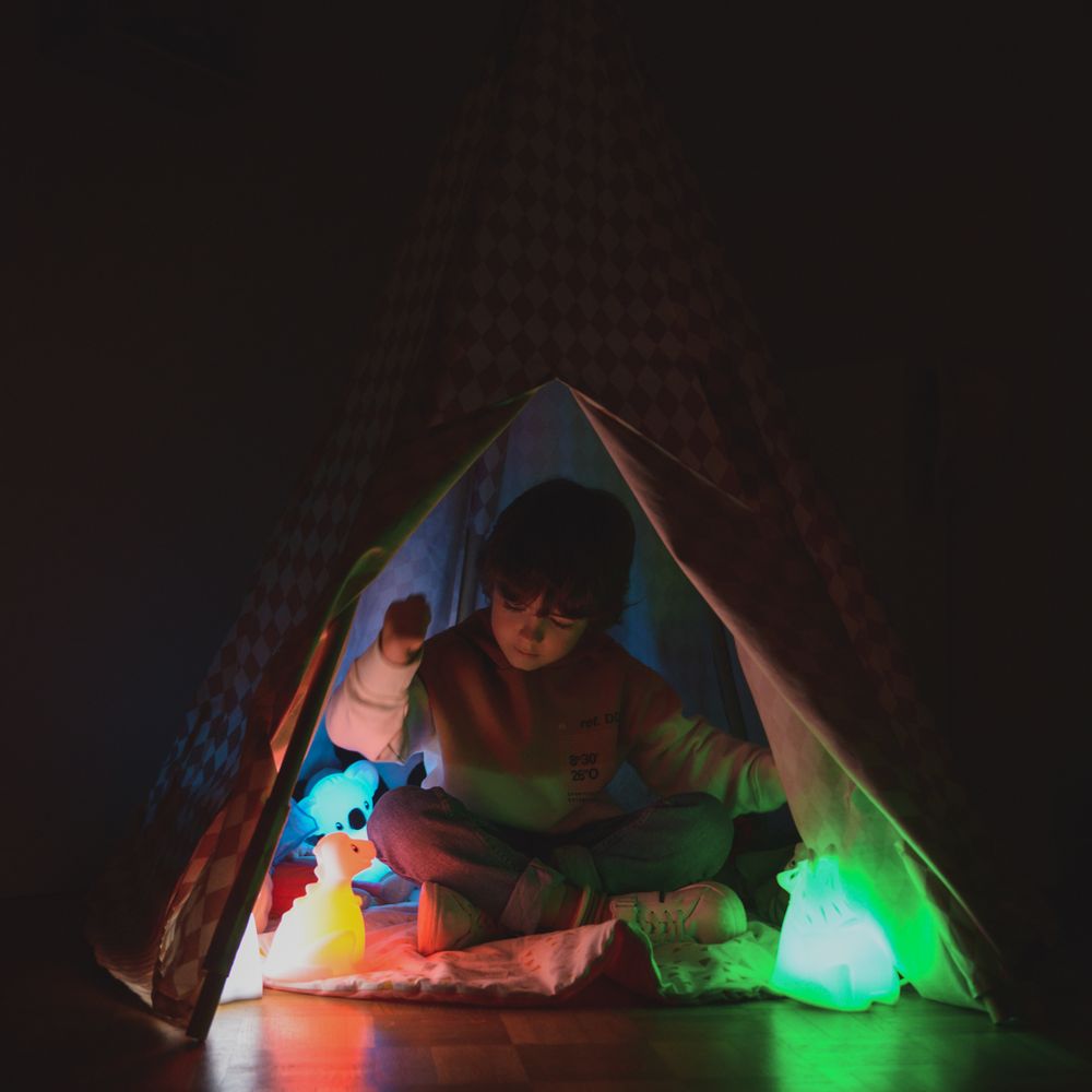 Table lamps - Led night light - KIDYWOLF