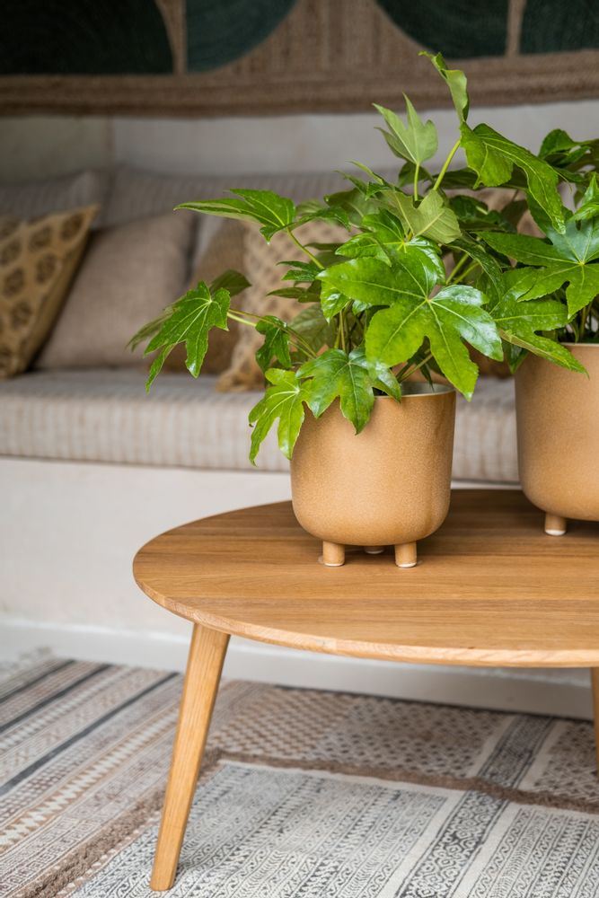 Pots de fleurs - Pot de fleurs en céramique beige Ø18x18,5 cm AX71193 - ANDREA HOUSE