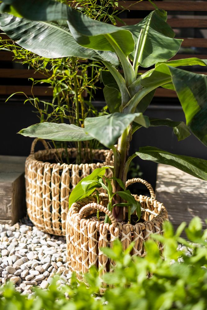 Baskets - Set of 2 water hyacinth grass baskets; Ø37x34 cm / Ø30x30 cm AX21505 - ANDREA HOUSE