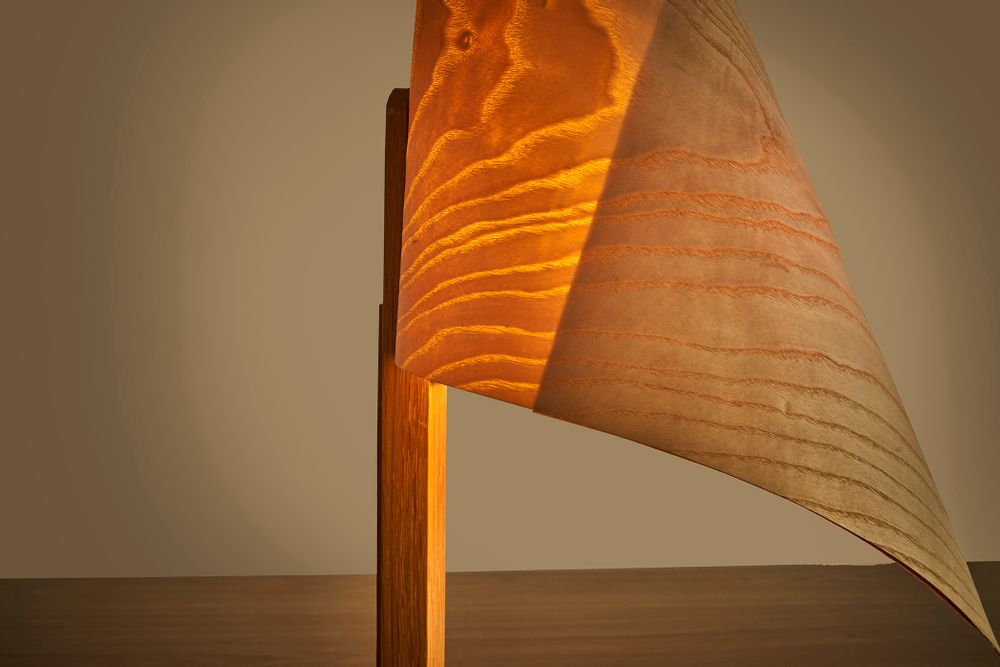Table lamps - bedside table lamp, DRAPÉ desk lamp - VAN DEN HEEDE-FURNITURE-ART-DESIGN