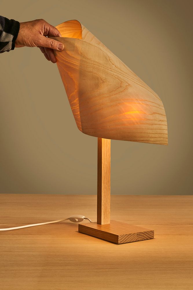 Table lamps - bedside table lamp, DRAPÉ desk lamp - VAN DEN HEEDE-FURNITURE-ART-DESIGN