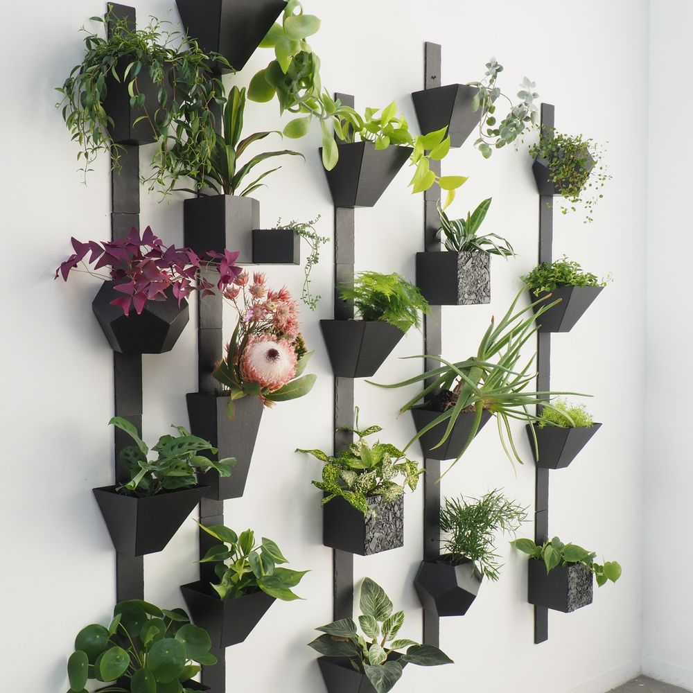 Other wall decoration - Wall Vase EVA Slate Travelling Tree - LE TRÈFLE BLEU
