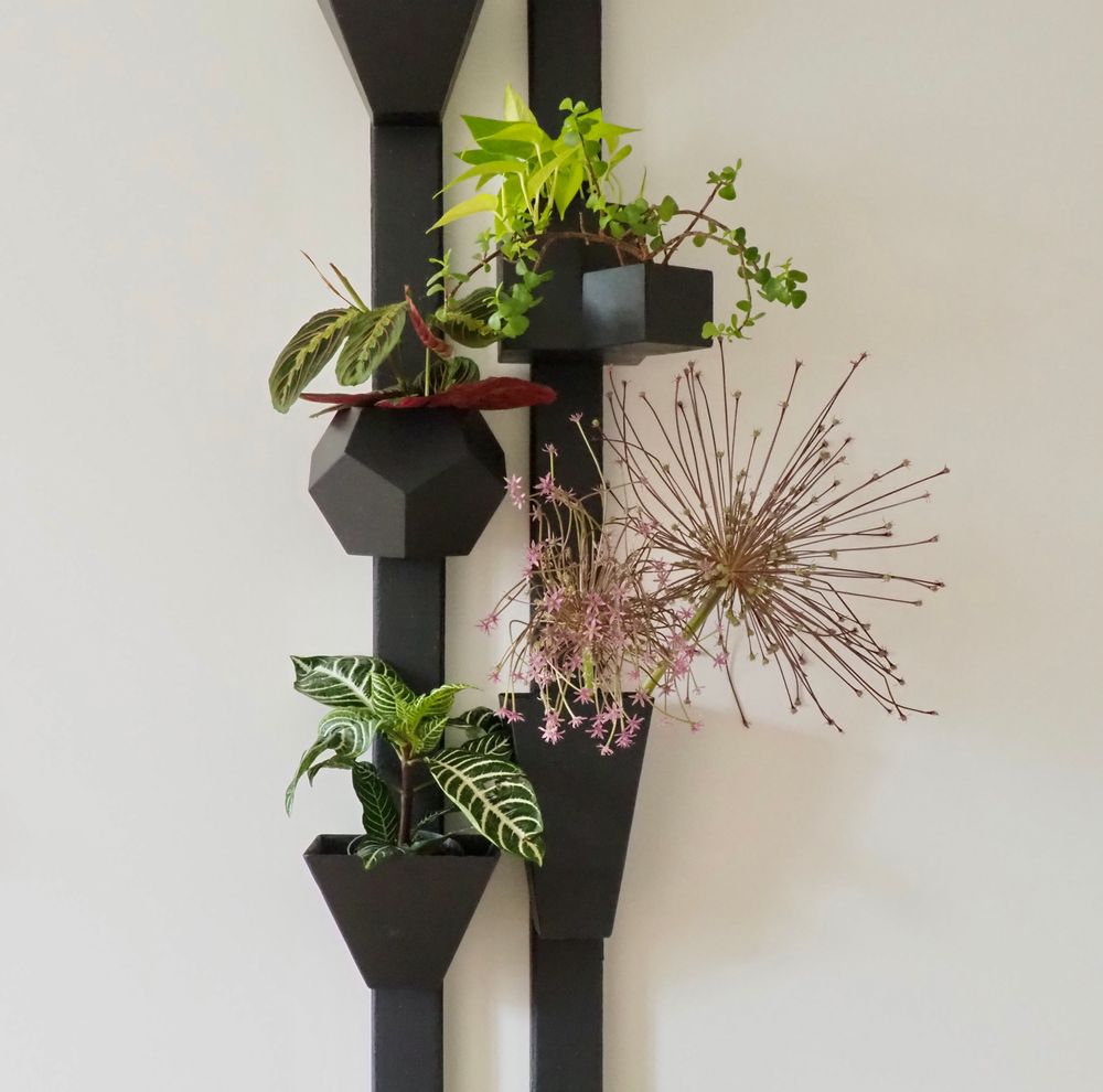 Other wall decoration - Wall Vase EVA Slate Travelling Tree - LE TRÈFLE BLEU