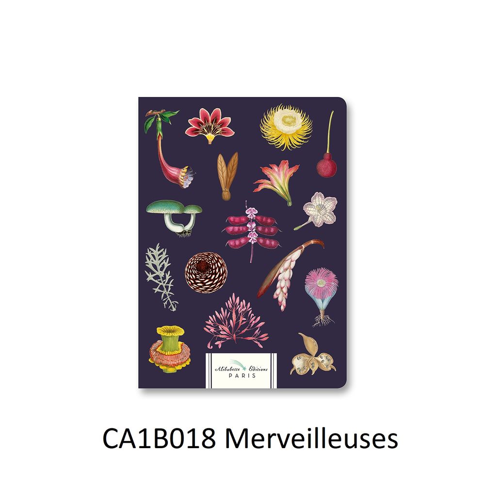 Stationery - A5 notebooks - ALIBABETTE EDITIONS